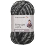 Timoteo - Schachenmayr